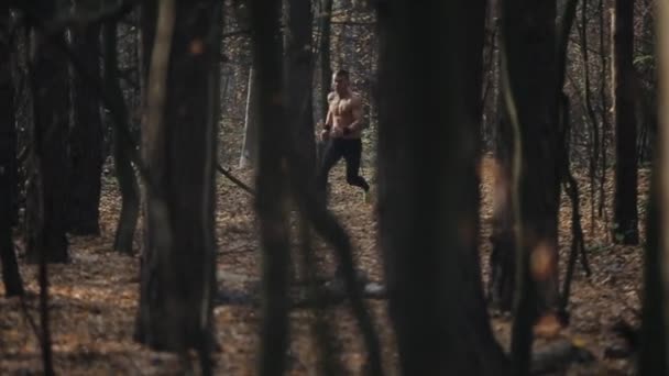 athlète musclé solitaire court dans la forêt entre les arbres avec torse nu. Tournage cinématographique. feuilles d'automne sur le sol .