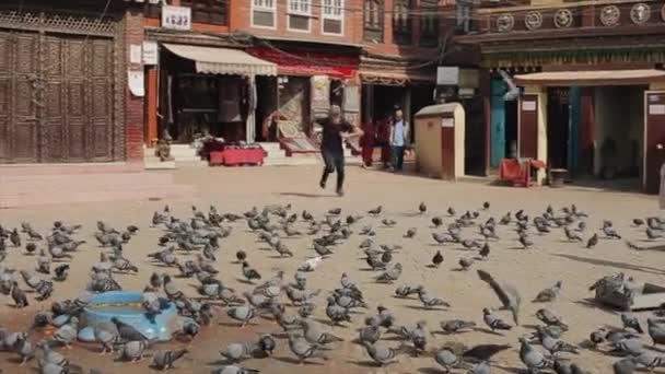 Um homem caucasiano, jovem perseguindo pombos em uma praça pavimentada da cidade. Nepal Kathmandu — Vídeo de Stock