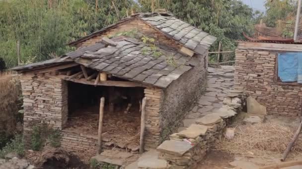 Μια αγελάδα σε ένα μικρό ιδιωτικό στάβλο στην Ασία, Νεπάλ. Χωριό. — Αρχείο Βίντεο