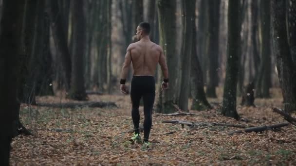 Pohled zezadu na svalnatého bělocha v běžeckých kalhotách kráčí podzimním lesem. listí padá do pozadí. — Stock video