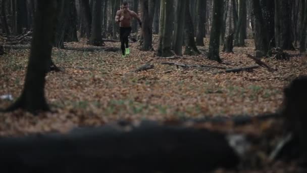 Onderaanzicht. een man in een lopende broek loopt door herfstgebladerte in een bos — Stockvideo