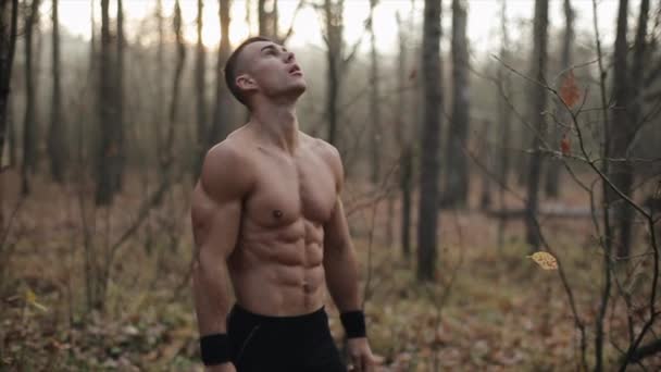 Gespierde mannelijke atleet met naakte romp staat in het herfstbos. bladeren vallen van bomen. Langzame beweging. — Stockvideo