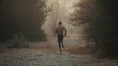 Koşan sporcu. Genç ve kaslı erkek koşucu çıplak gövdesiyle gün batımına karşı koşu yapan böcek ağaçları..