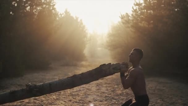 숲을 파는 일. 발가벗은 몸통을 가진 잘생긴 근육질의 남자 운동 선수가 나무로 만든 통나무로 밖에서 운동을 한다. 건강 한 생활 방식. 일몰. 새벽. 일출 — 비디오