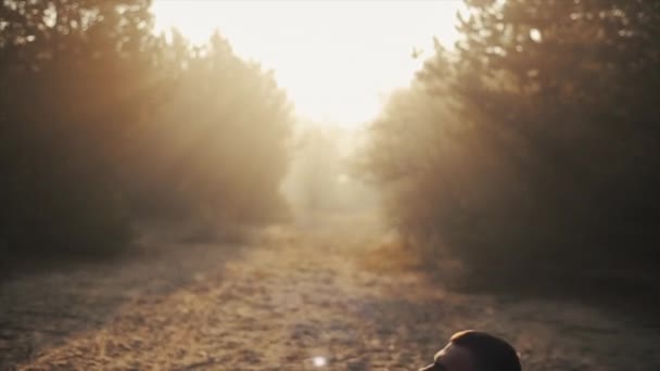 Treino florestal. bonito muscular Masculino atleta com tronco nu exercitando ao ar livre com árvore log. Fitness e estilo de vida saudável. Pôr do sol. Dawn... Nascer do sol — Vídeo de Stock