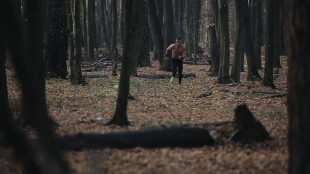 Snabbspringande muskulös man med naken bål. ung kaukasisk löpare i skogen. vy mellan träd — Stockvideo