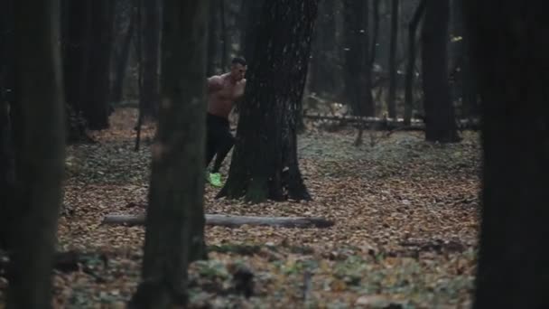 Hombre musculoso corriendo rápido con el torso desnudo. joven corredor caucásico en el bosque. vista entre árboles — Vídeos de Stock
