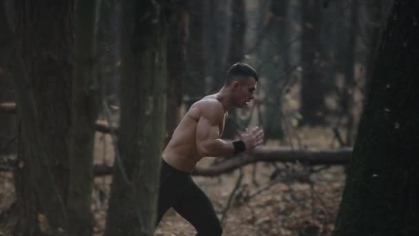 Швидкий біг м'язистого чоловіка з голим торсом. молодий бігун у лісі. вид між деревами — стокове відео