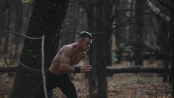 Rychle běžící svalnatý muž s nahým trupem. mladý běloch v lese. pohled mezi stromy — Stock video