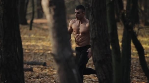 Young muscular runner runs in the forest. Running between the trees. — Stock Video