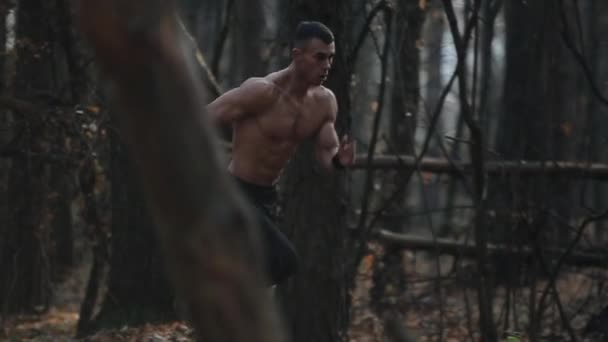 Joven corredor muscular corre en el bosque. Corriendo entre los árboles. Movimiento lento — Vídeos de Stock