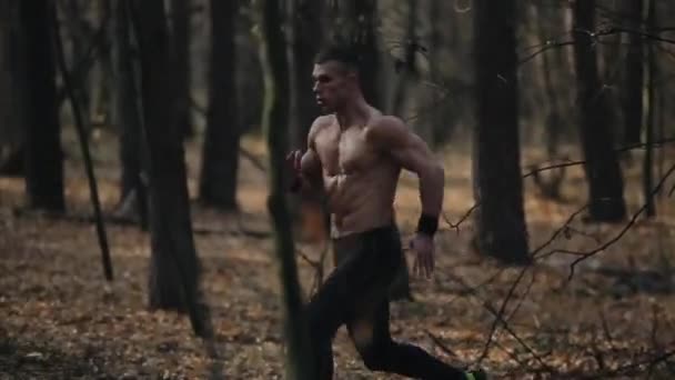 Молодий м'язистий бігун біжить у лісі. Біжить між деревами. Повільний рух — стокове відео