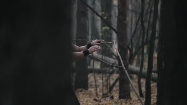 Een man breekt bomen in een bos — Stockvideo