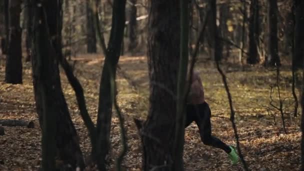 Junger muskulöser Läufer mit nacktem Oberkörper in Jogginghose läuft durch den Wald. Geschwindigkeit zwischen den Bäumen. Zeitlupe — Stockvideo