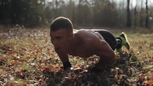 Молодой мускулистый спортсмен занимается отжиманиями в лесу. Сильный белый парень с обнаженным туловищем — стоковое видео