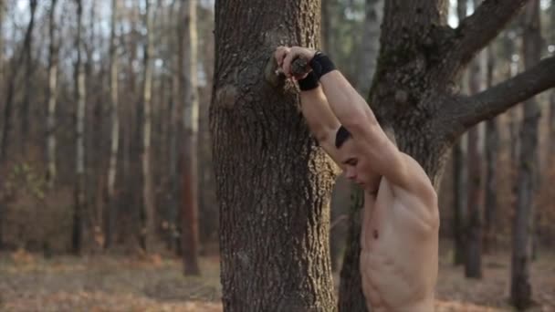 Hombre musculoso con torso desnudo haciendo ejercicio sobre prensa usando árbol en bosque — Vídeos de Stock