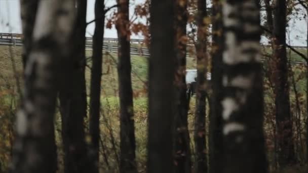 Минск, Беларусь - 11 ноября 2019 года: автомобиль быстро едет на фоне леса. вид с деревьев — стоковое видео