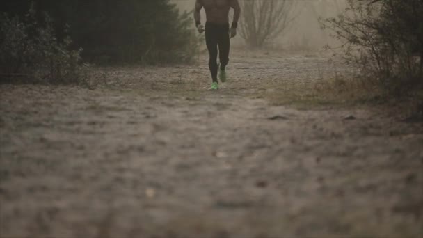 Close up imagem pernas corredor de atleta caucasiano nandsome em tênis de corrida e calças para correr. Movimento lento — Vídeo de Stock