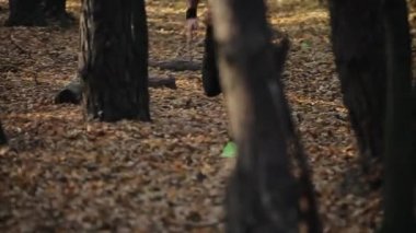 Genç kaslı koşucu ormanda koşuyor. Ağaçların arasında koşuyor.