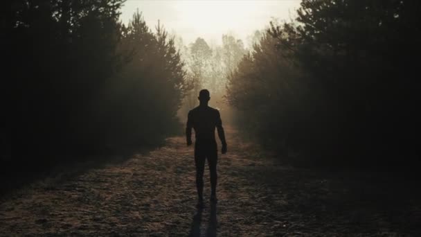 Vista posteriore della silhouette Muscolare bell'uomo con torso nudo passeggiata nella foresta. La mattina presto. Alba. — Video Stock