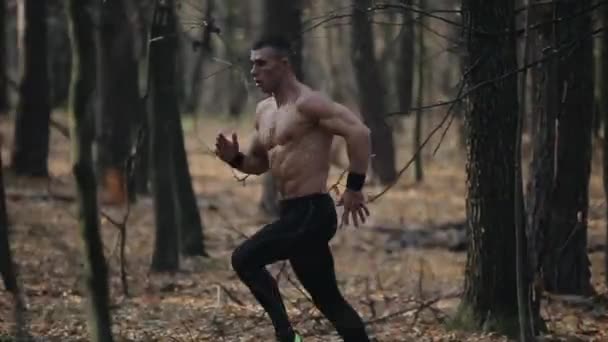 Ung muskulös löpare med naken överkropp i löparbyxor springer i skogen. Hastighet Springa mellan träden. — Stockvideo