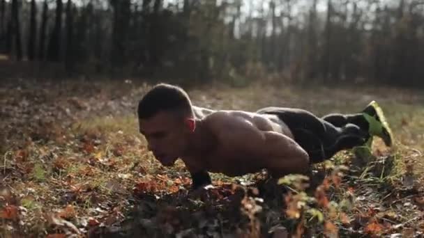 Hombre atlético musculoso joven haciendo ejercicio haciendo flexiones en el bosque. fuerte caucásico chico con desnudo torso — Vídeos de Stock