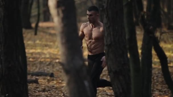Быстрый бегущий мускулистый мужчина с обнаженным туловищем. молодой кавказский бегун в лесу. вид между деревьями — стоковое видео