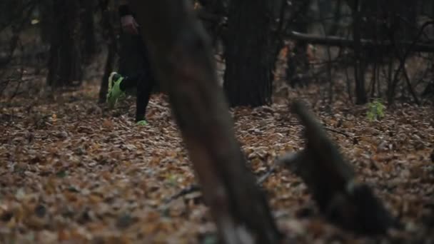 Nahaufnahme Läuferbeine eines nandsome kaukasischen Athleten in Laufschuhen und Hosen zum Laufen. — Stockvideo