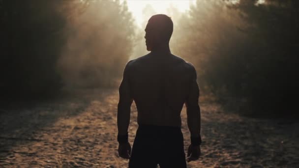 Vista posterior del hombre muscular con el torso desnudo de pie frente al sol en el bosque y respira profundamente. amanecer, atardecer, amanecer . — Vídeos de Stock