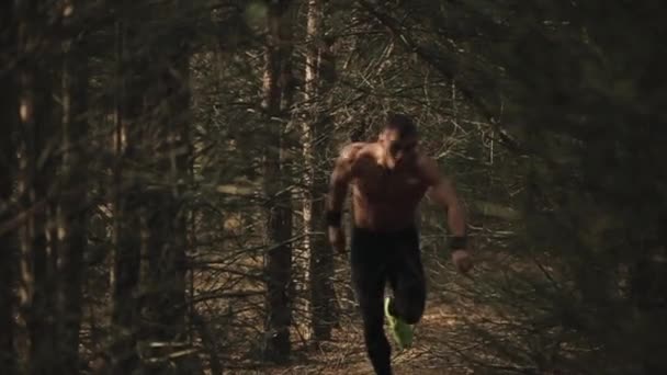 Deportista con un torso desnudo y en cara concentrada listo para ir, antes de correr a través del bosque sobre el fondo de troncos de árboles. Movimiento lento — Vídeos de Stock