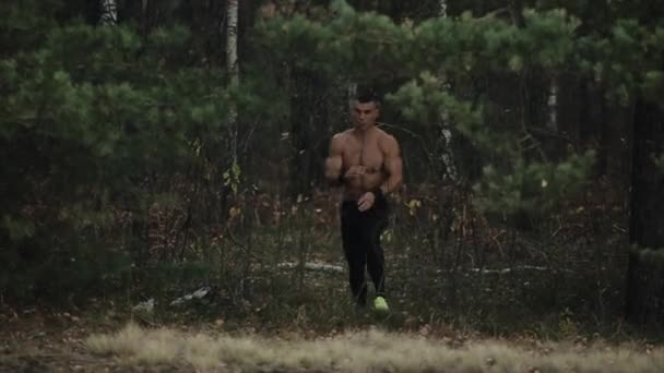 Çıplak gövdeli ve konsantre yüzlü sporcu, ağaçların gövdesine karşı ormanda koşmadan önce gitmeye hazır. Koşan pantolonlar. — Stok video