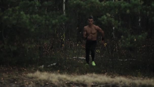 Sportoló egy meztelen törzs és a koncentrált arc kész menni, mielőtt fut át az erdőn a háttér fatörzsek. Futószalagos nadrág.