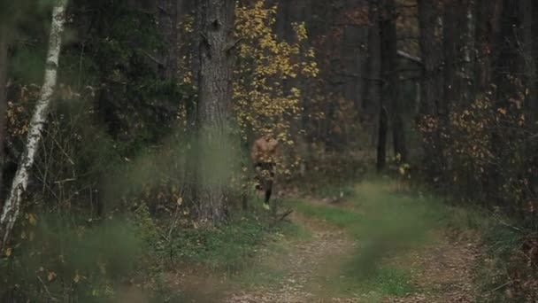 Jovem homem musculoso correndo com tronco nu corre ao longo da trilha no início da floresta de outono. Desportista corredor sprint ao longo do caminho na natureza. Homem atlético exercitando ao ar livre. Conceito de ativo saudável — Vídeo de Stock