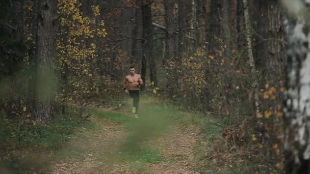 Giovane uomo muscoloso in esecuzione con torso nudo corre lungo il sentiero all'inizio della foresta autunnale. Sportivo corridore che corre lungo il sentiero della natura. Un atleta che si allena all'aperto. Concetto di attivo sano — Video Stock