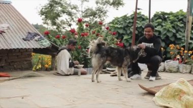 Katmandu, Nepal - 19 Kasım 2019: Nepal 'de gülümseyen ve bir köpeği okşayan genç bir adam. Nepal, köy. Arka planı yiyen bir adam..