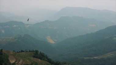 Güzel bir manzara. Kartallar, kuşlar uçuyor. Dağlar, Nepal 'deki orman..
