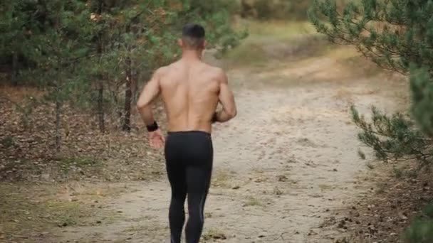 Corredor muscular masculino corriendo por el bosque — Vídeos de Stock