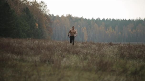 Muskelkräftiger Mann mit nacktem Oberkörper, der über das Feld rennt. Frontansicht — Stockvideo