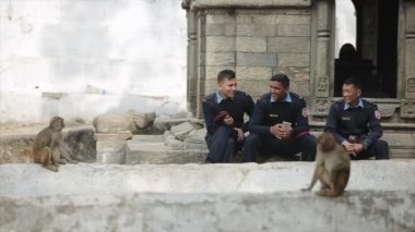 Kathmandu, Nepal - 14 November 2019: Three nepalese policemen sitting, talking, smiling near a temple, ruins in Kathmandu Nepal. Monkeys walking by. Taking pictures.