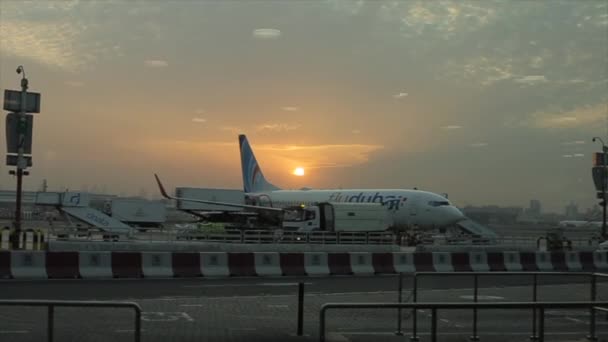 Dubai, Emiratos Árabes Unidos - 19 de noviembre de 2019: Una persona mirando un avión en la terminal del aeropuerto. Aerolínea Dubai. Puesta del sol, salida del sol . — Vídeo de stock