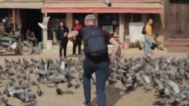 Kathmandu, Nepal - 14. November 2019: Ein kaukasischer, junger Mann jagt auf einem gepflasterten Stadtplatz Tauben. Nepal Kathmandu — Stockvideo