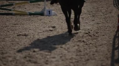 Yarışmalarda dört nala koşan ve bariyerin üzerinden atlayan bir atın bacaklarına yakın çekim.