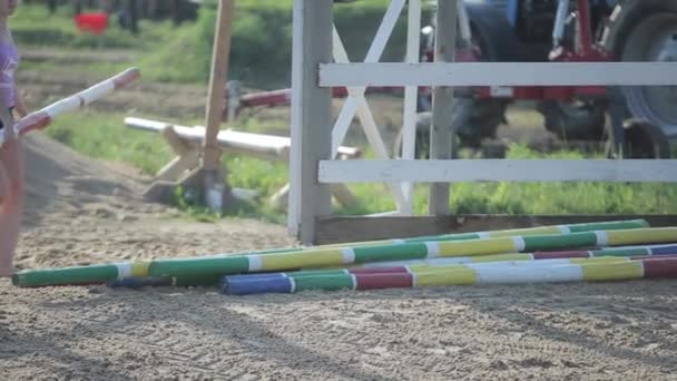 มินสก์, เบลารุส - 19 กรกฎาคม 2019: เด็กสาวช่วยพกอุปกรณ์ขี่ม้าในฟาร์มม้า. มุมมองหน้า ใกล้ชิด — วีดีโอสต็อก