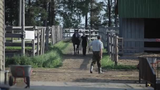 Минск, Беларусь - 19 июля 2019 года: Молодая европейская девушка ведет лошадь по пути между загонами на конной ферме — стоковое видео