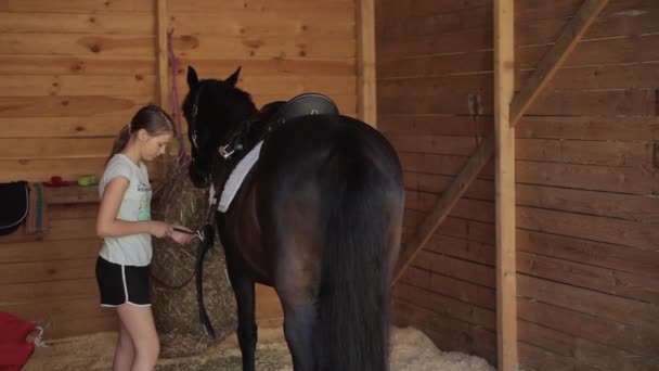 Minsk, Biélorussie - 19 juillet 2019 : Une jeune fille selle un cheval dans un enclos en bois sur un ranch équestre pour une promenade — Video