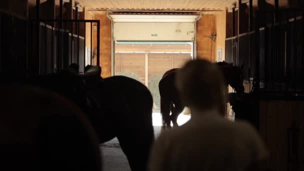 Minsk, Bielorrusia - 19 de julio de 2019: Siluetas oscuras de jinetes y sus caballos en un establo en un rancho de caballos — Vídeo de stock