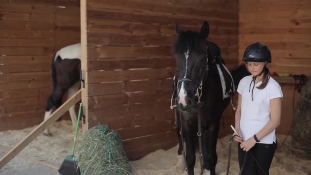 Minsk, Vitryssland - 19 juli 2019: En ung hästkvinna med sin häst väntar på att bli kallad till tävlingsarenan. Framifrån — Stockvideo