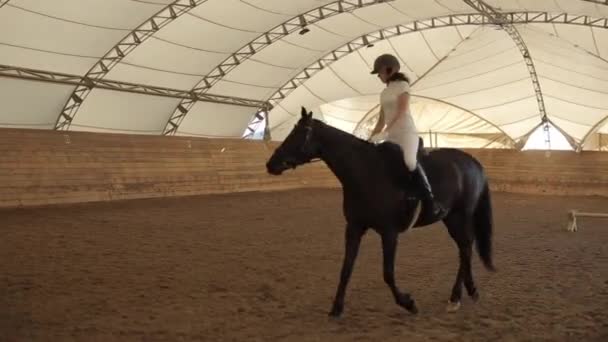 Minsk, Belarus - 19 Juli 2019: Joki perempuan menunggang kuda di arena tertutup dan bersiap untuk kompetisi — Stok Video