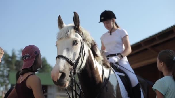Minsk, Belarus - 19 Ιουλίου 2019: Κοντινό πλάνο αλόγου με κορίτσι αναβάτη στη σέλα. Πρόσθια όψη — Αρχείο Βίντεο