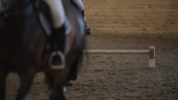 Minsk, Belarus - 19 July 2019: Close-up of a horses legs while jumping over a barrier — Stock Video